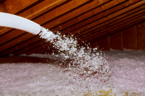 Best Insulation Inspection Services  in Glen Raven, NC