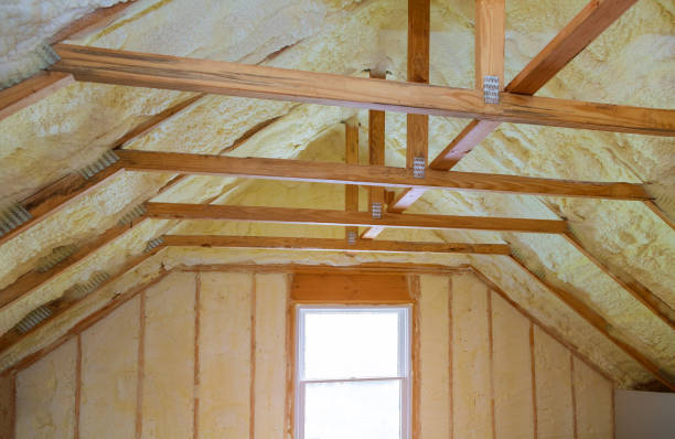Best Cellulose Insulation  in Glen Raven, NC
