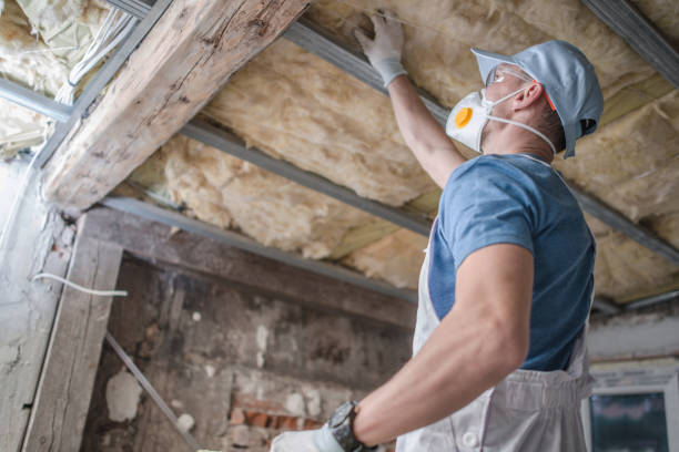 Best Residential Insulation Services  in Glen Raven, NC