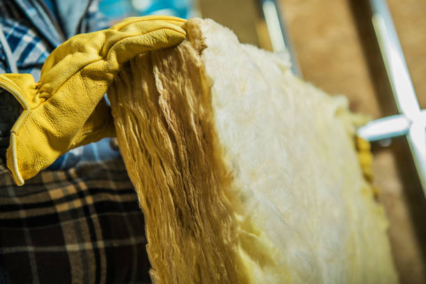 Best Garage Insulation Installation  in Glen Raven, NC
