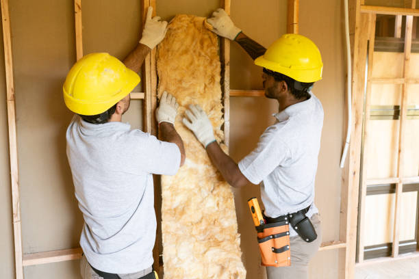 Best Attic Insulation Installation  in Glen Raven, NC