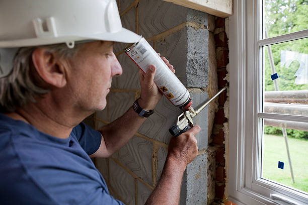 Best Cellulose Insulation  in Glen Raven, NC