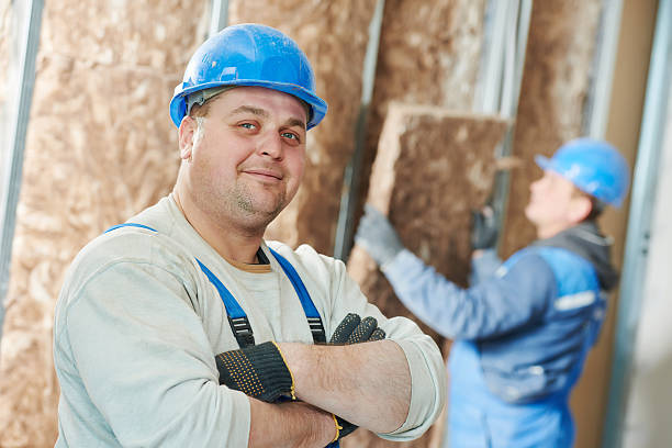 Best Insulation Repair Services  in Glen Raven, NC